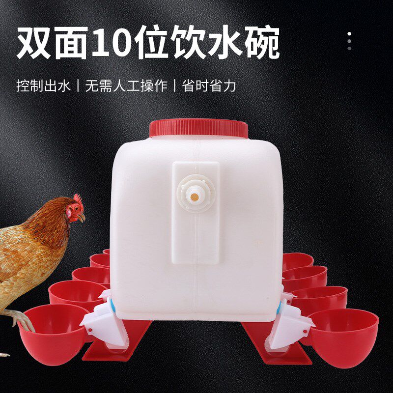 鸡用自动饮水器家禽饮水碗自动喂水器小雏鸡鸽子鹌鹑喝水碗水桶壶