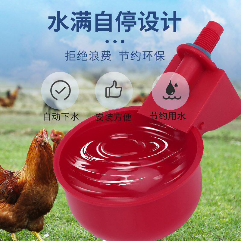 养鸡用自动饮水器家禽鸽子鹌鹑饮水碗喝水碗自动喂水器鸡水桶水碗