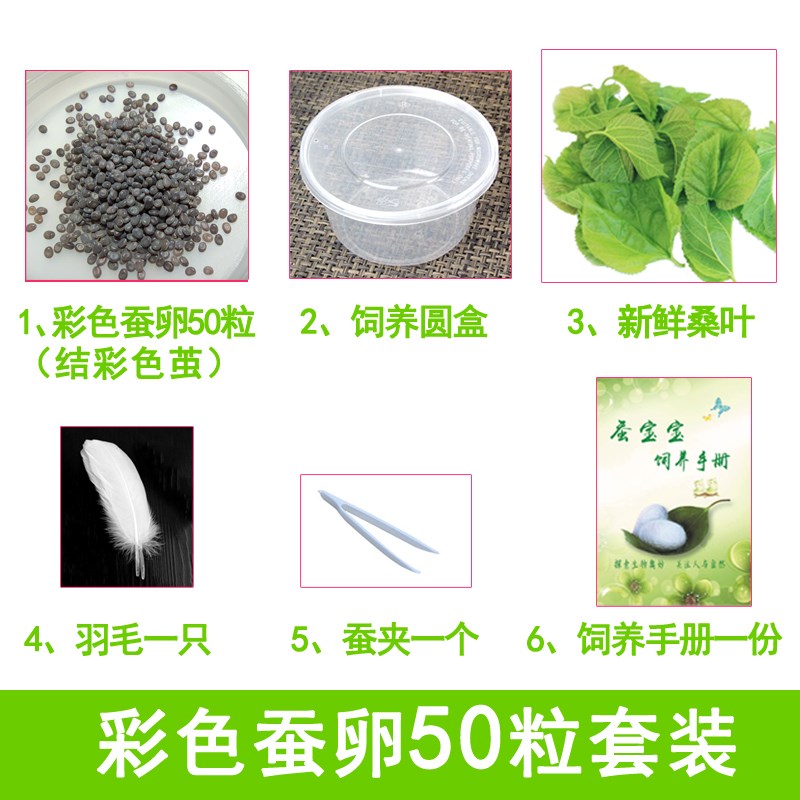 速发蚕宝宝学生养蚕套装蚕卵活物蝉春蚕籽彩色茧幼虫新鲜桑叶喂蚕