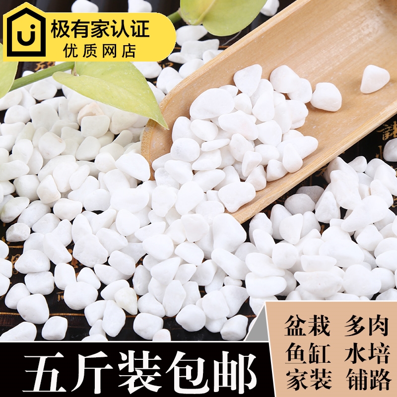 【五斤包邮】小白石子水洗石鹅卵石头天然白色多肉铺面石花盆鱼缸
