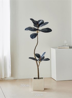 大型落地侘寂风仿生假植物黑金刚橡皮树仿真绿植高端轻奢客厅摆件