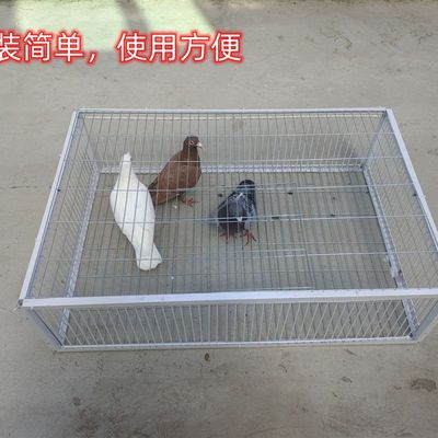 天落笼户外家用屋顶只进不出鸽子笼活络撞门信鸽自动门进鸽子神器