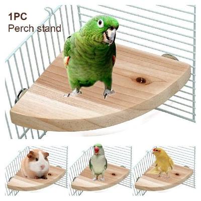 新品Heavy Duty Hamster Perch Stand Pet Supply Gerbil