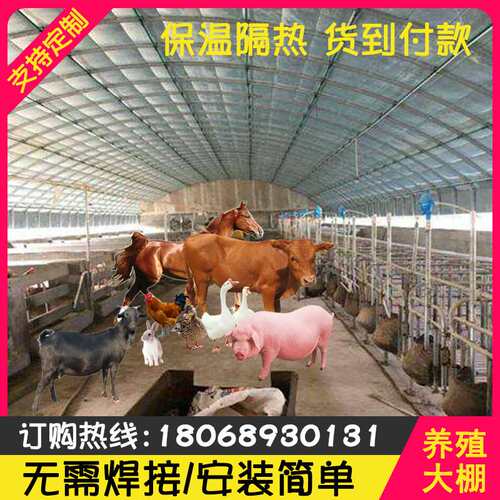 羊鹅骨架舍搭建牛养殖猪大棚钢管全套椭I圆管O鸭S钢管架保温圈养