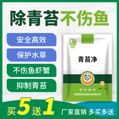 青苔净除藻净化水质不伤鱼虾蟹水产专用鱼药生物分解酶不伤水草