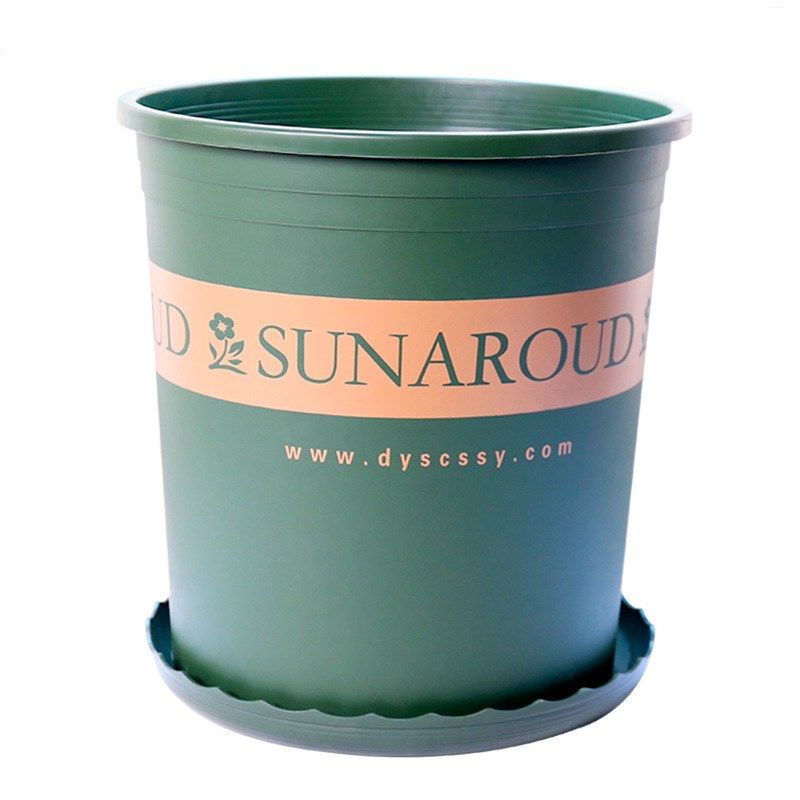 特大号加厚加仑盆 青山塑料盆种树大型落地绿植盆栽月季果树花盆