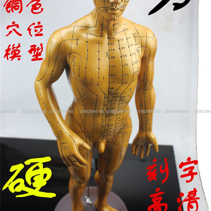 现货速发高清针灸人体模型小人拔罐穴位模型经络通硅胶模型软硬男