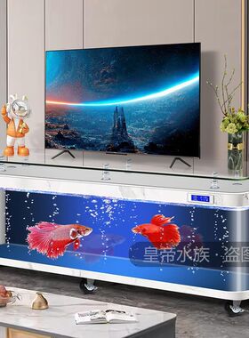 茶几电视柜鱼缸热弯一体成型家用客厅2024新款大型落地靠墙水直销