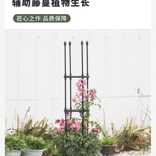 花架支架爬藤架蔷薇绿萝爬铁艺欧式 庭院 户外铁线莲花园葡萄架月季