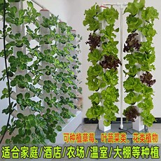 Беспочвенной оборудование выращивания