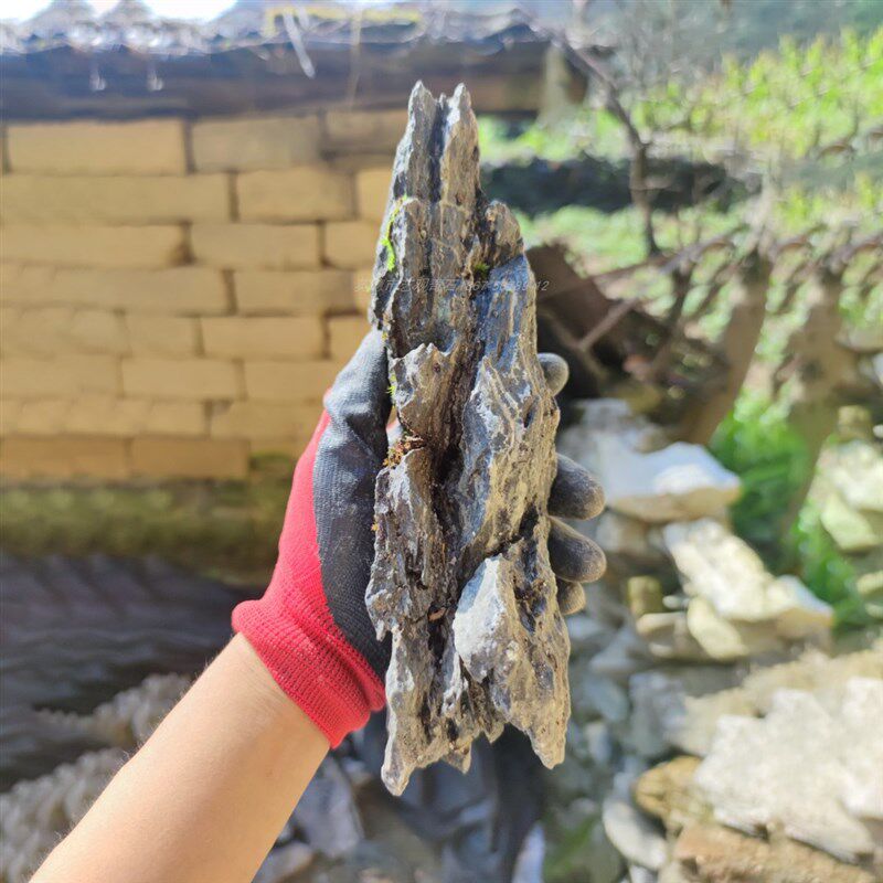 【青龙石】水陆缸微景观倒悬山酸洗草缸苔藓缸盆景摆件造景石假山,宠物/宠物食品及用品,造景/装饰,淘宝优惠券,粉丝福利购,淘宝优惠卷