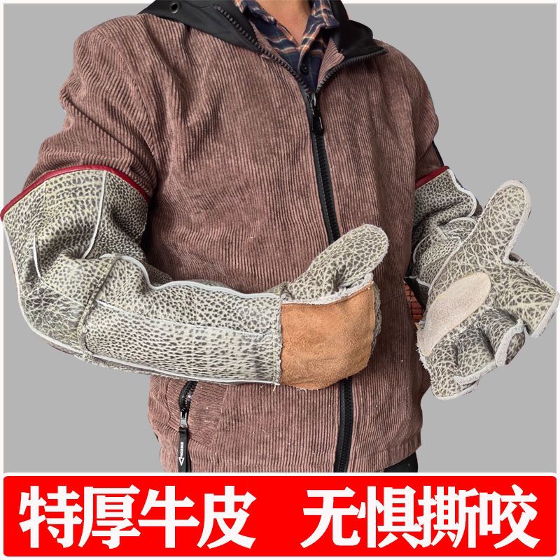 速发抓眼镜蛇防咬手套宠物防咬手套狗猫训犬鳄龟眼镜蛇加长加厚牛