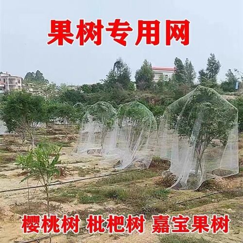 果园防鸟网尼龙樱桃葡萄果树拦鸟用的网鱼塘天网大棚防护网养殖网