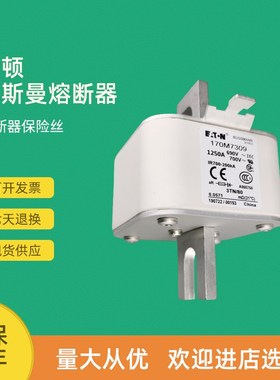 全新快速熔断器保险170M7309 170M7481 170M7488 170M7489