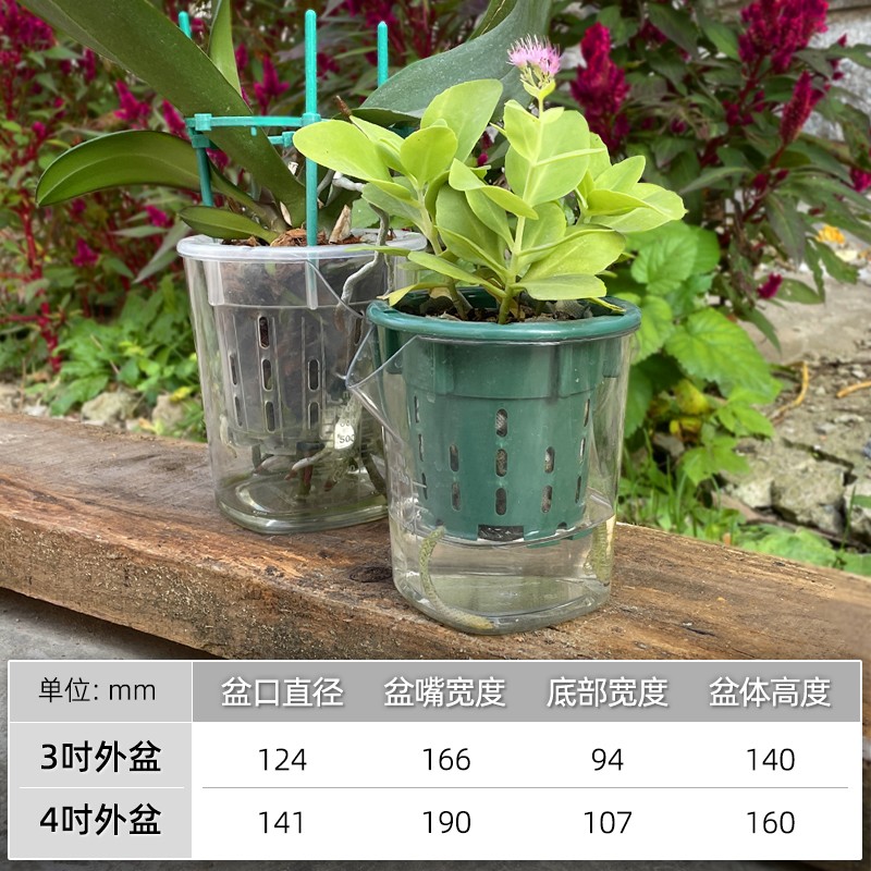 工厂销蝴蝶兰专用懒人盆多功能y套盆多肉蟹爪兰水培草莓桌面盆栽