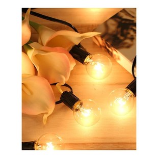 25pcs 7W AC230V G40 Globe Tungsten Incandescent Bulb Lamp E1