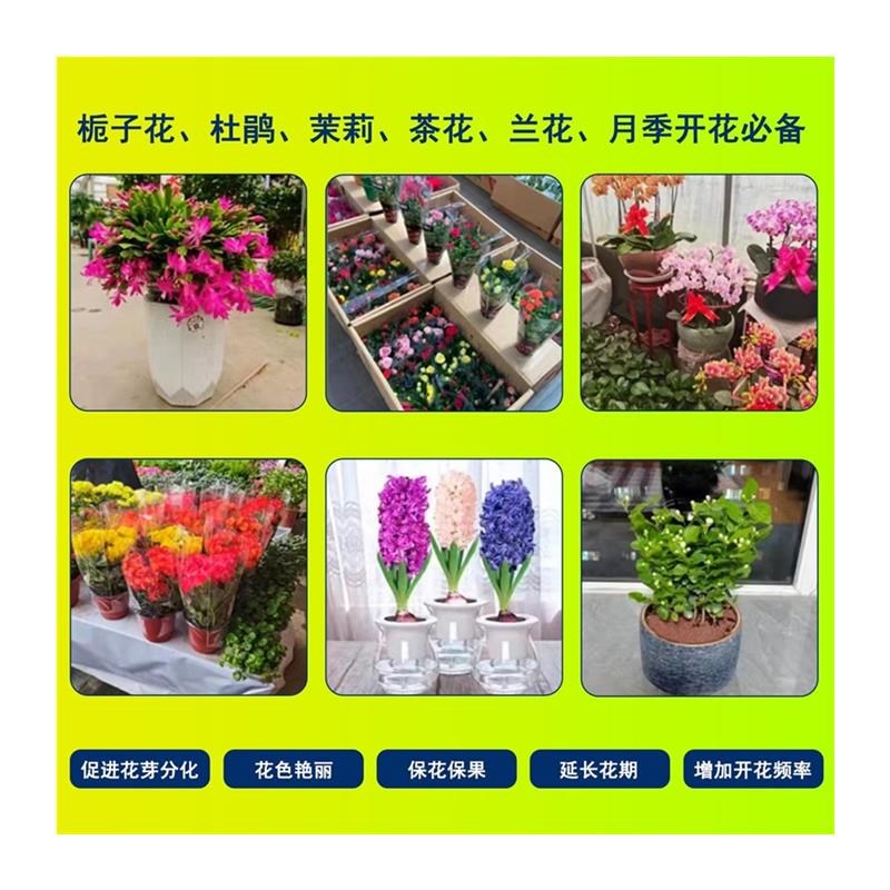 磷酸二氢钾促进开花壮根t家用催花肥料花多色艳补充微量元素双11