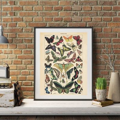 推荐Antique Butterfly Vintage Poster Prints Insect Kind Natu