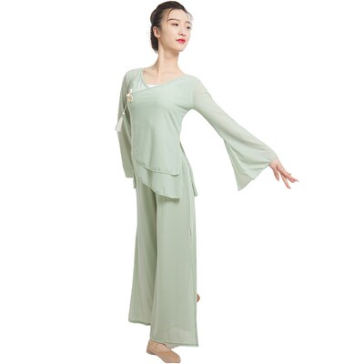 古典舞服装身韵舞蹈纱衣的单色中国G风新款上衣跳舞服网纱套装女