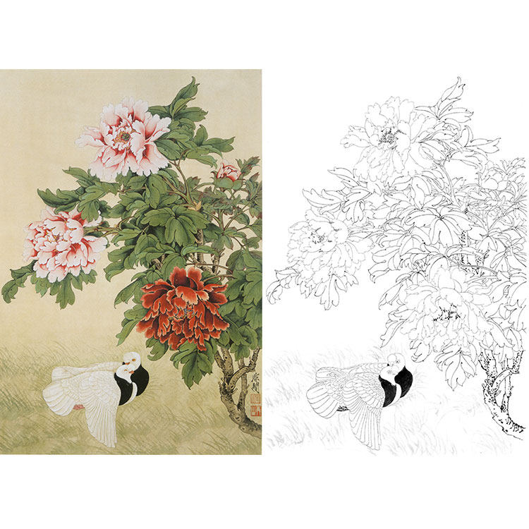 物白描底稿牡丹鸽子勾非v闇于线实画打印稿尺寸可选yf