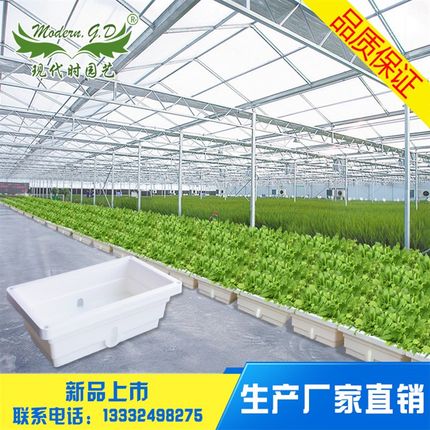 大棚种植容器 阳台种菜盆 PP原料 花盆简约多功能大盆 厂家直供