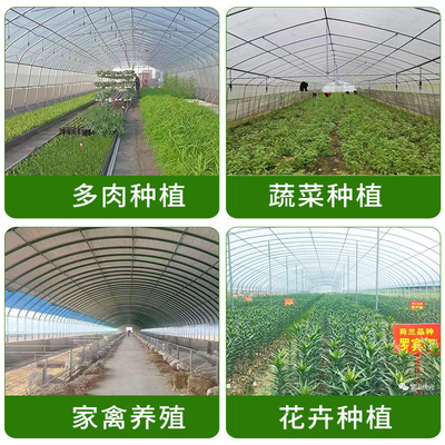 温室大棚骨架钢管农用养殖大棚全套连体热浸锌蔬菜大棚配件大全