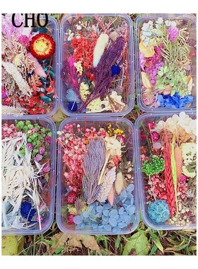 1 Box Real Dried Fresh Eternal Flower Dry Plant  Aromatherap