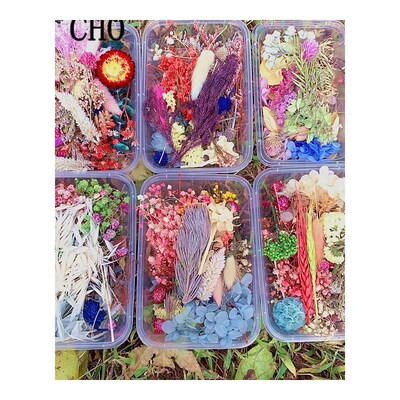 1 Box Real Dried Fresh Eternal Flower Dry Plant  Aromatherap