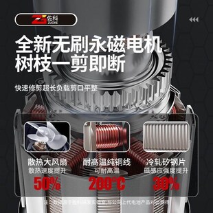 锂电修枝剪果树专用粗树枝电剪子园林桑树电动剪刀高空伸缩高枝剪