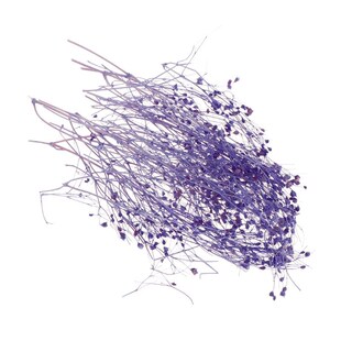 1 Box Filling Flower Dry Handmade Flowers DIY Epoxy Resin Fi