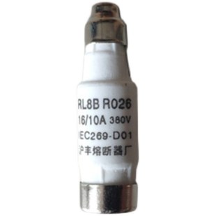 10A 滬豐熔斷器RL8B 16A陶瓷保險(xiǎn)絲熔芯保險(xiǎn)管D01 R026