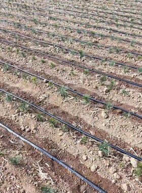 N16迷宫带农用滴灌带大棚蔬菜膜下滴管果园绿化滴水管节水灌华庚