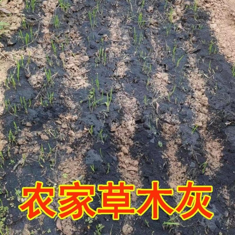 工厂销种菜用的草l木灰韭菜专用草木灰稻谷草灰纯稻草灰草木灰正