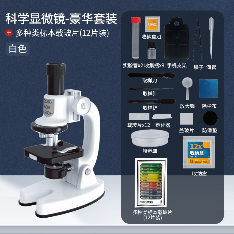 现货速发大班科学区域投放材料发现室探索小实验幼儿园益智玩具儿