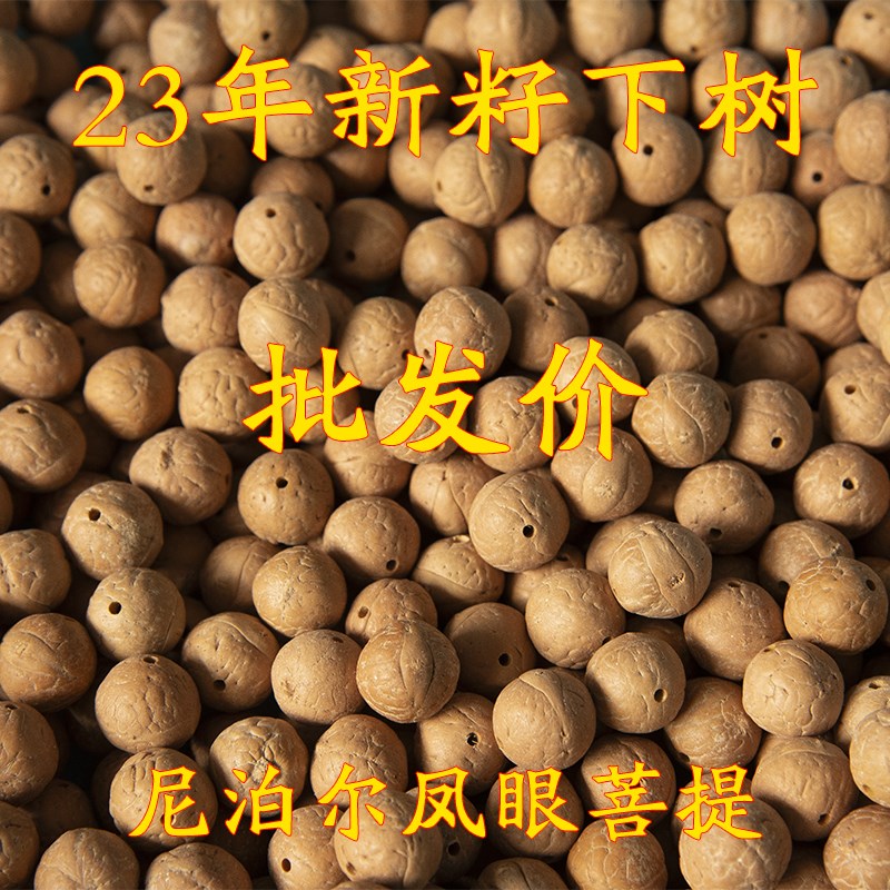 新品正宗尼泊尔凤眼藏式菩提散珠原籽念珠佛珠菩提子招财手串手持