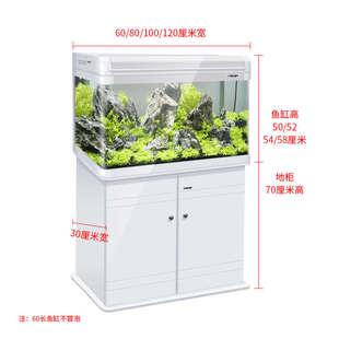 桶米玻璃鱼缸免博水族箱家用上过大中型客厅场换水生态宇返80滤1