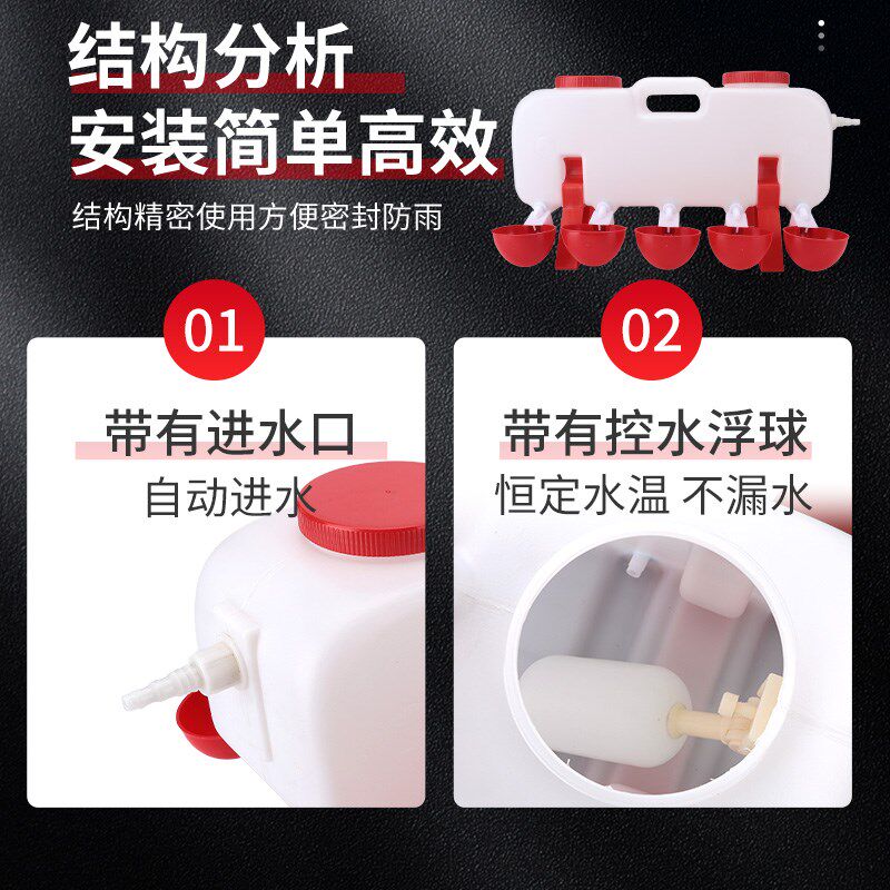 鸡用自动饮水器家禽饮水碗自动喂水器小雏鸡鸽子鹌鹑喝水碗水桶壶