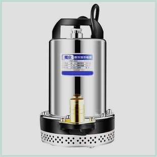 直流潜水泵12V24V48V60V72V电瓶车泵菜园农田灌溉浇地神器抽水机