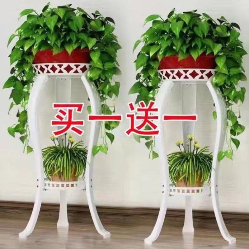 小众高货铁艺高端花架子室内放黄金电视柜客厅花盆欧式架的葛高档