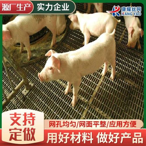 育肥猪床网钢丝过滤轧花网 猪羊床漏粪网狗笼子 漏粪板铁丝漏粪网
