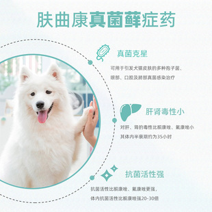 肤曲康伊曲康唑猫宠物猫癣狗藓抗狗肤病内服片伊曲康挫咪