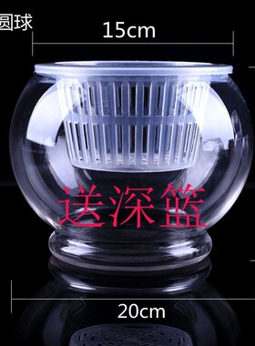 水培植物玻璃瓶 水培绿萝花瓶花盆玻璃圆球 送加深定植篮水培现货