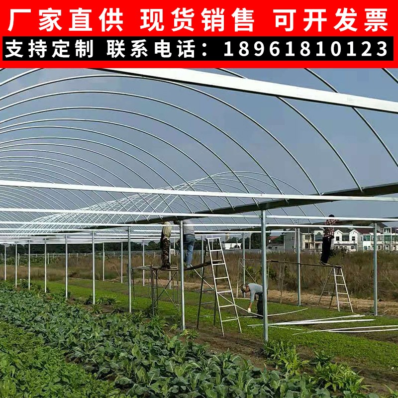 福建热镀锌钢管玻璃温室大棚蔬A菜棚养殖大棚连体大棚葡萄避雨棚