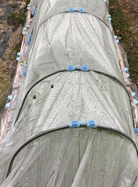保温棚菜园大棚暖棚薄膜套件防寒防雨防鸟植物冬季保护罩支架薄膜