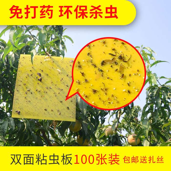 粘虫板超粘黄色灭虫贴纸果园大棚茶园灭小飞虫果实蝇诱虫黄板蓝板