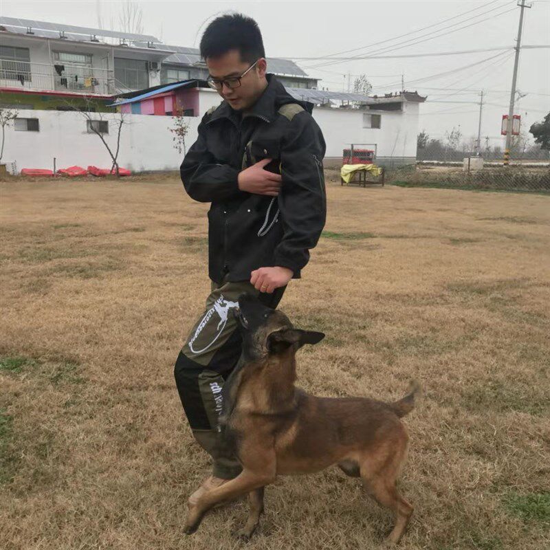 新款训犬马甲训练套装长袖训练服训犬G用品 工作犬 训犬师装备服