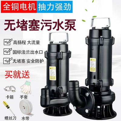 纯铜污水泵抽粪家用220V泥浆泵工程380V潜水泵排污泵