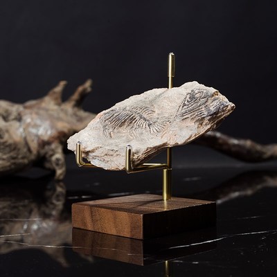 创意水晶球展示架奇石标本晶体矿石底座风水球架S子摆件放置架托
