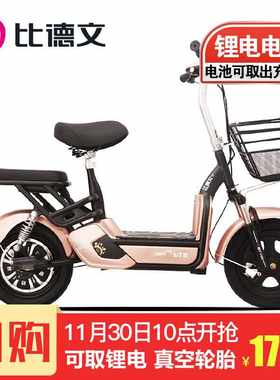 比德文 电动车锂电滑板车轻便x电动自行车电瓶车48V电池可取成人