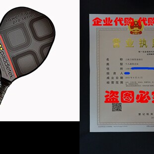 Pro Play Power 推荐 Pickleball Paddletek Paddle